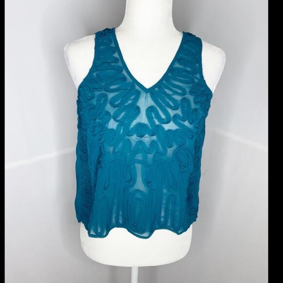 NWT chandi and lia teal blue sheer top - Picture 1 of 8